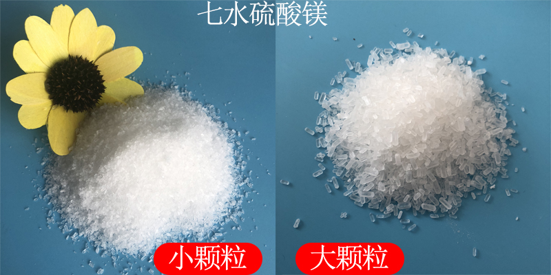 1723186959188007.jpg 未(wei)標(biao)題-1.jpg